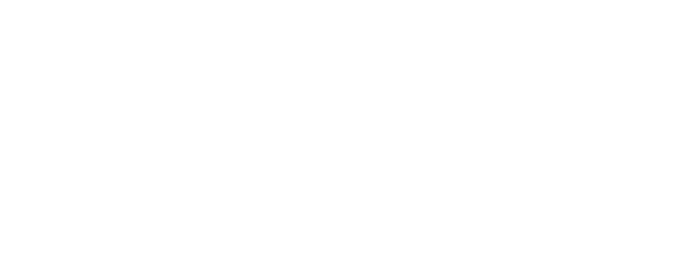 Logo Freedom & Flow