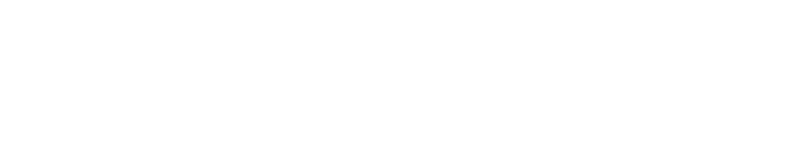 Tech Advisory, Senior Consultant